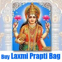 laxmi bag